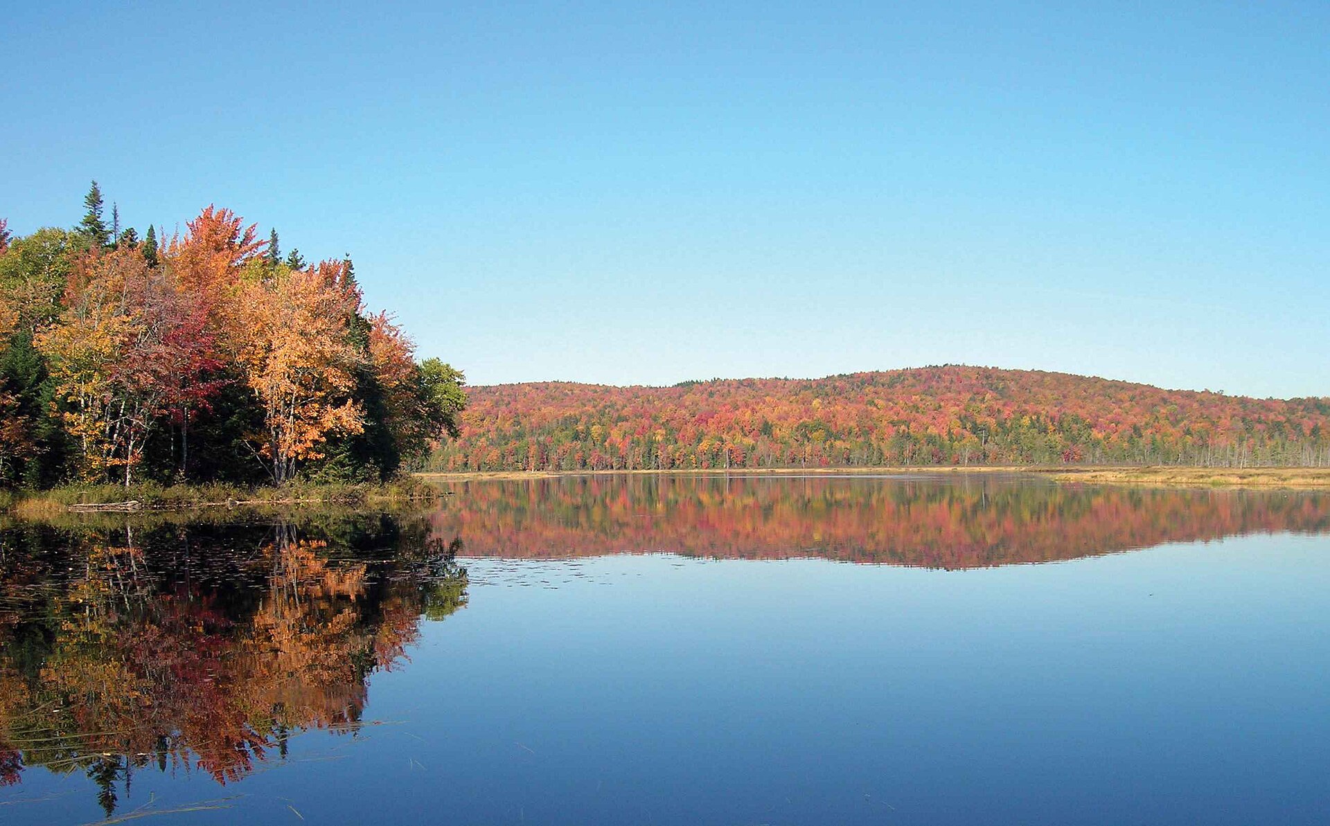Fall foliage meadow.jpg