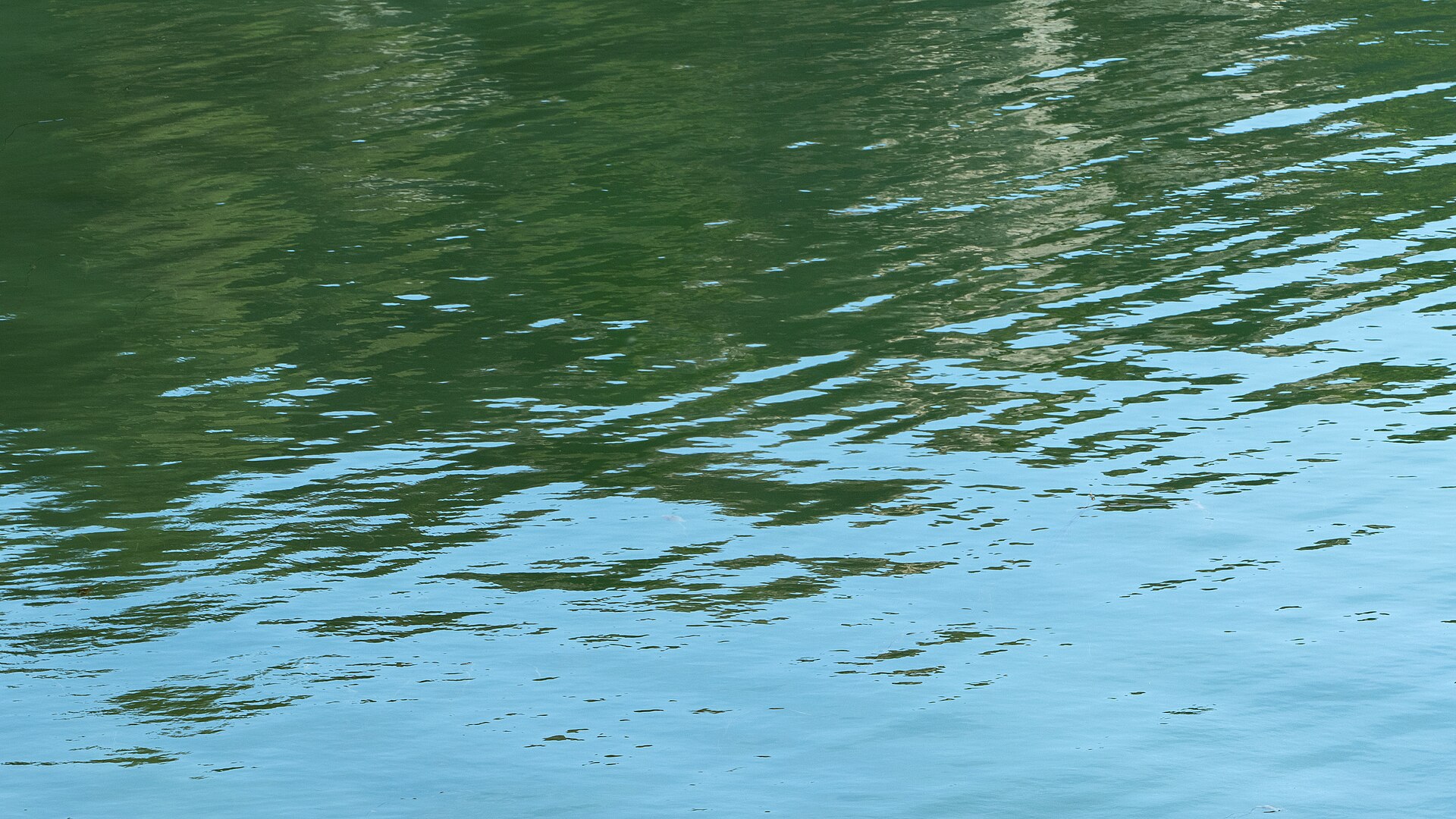 Surface of Brofjorden.jpg