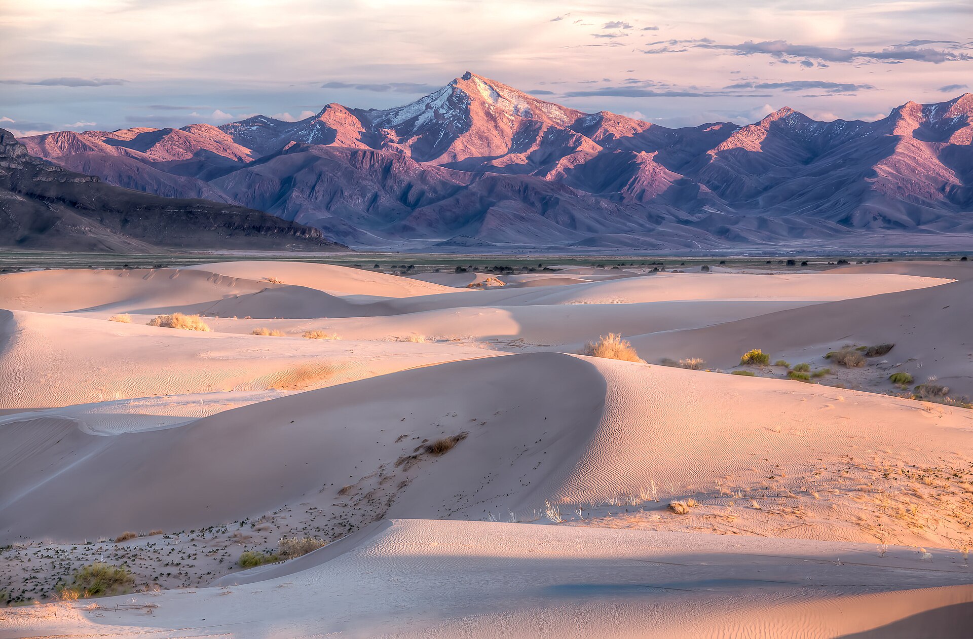 Utah Dunes Landscape - West Desert District.jpg