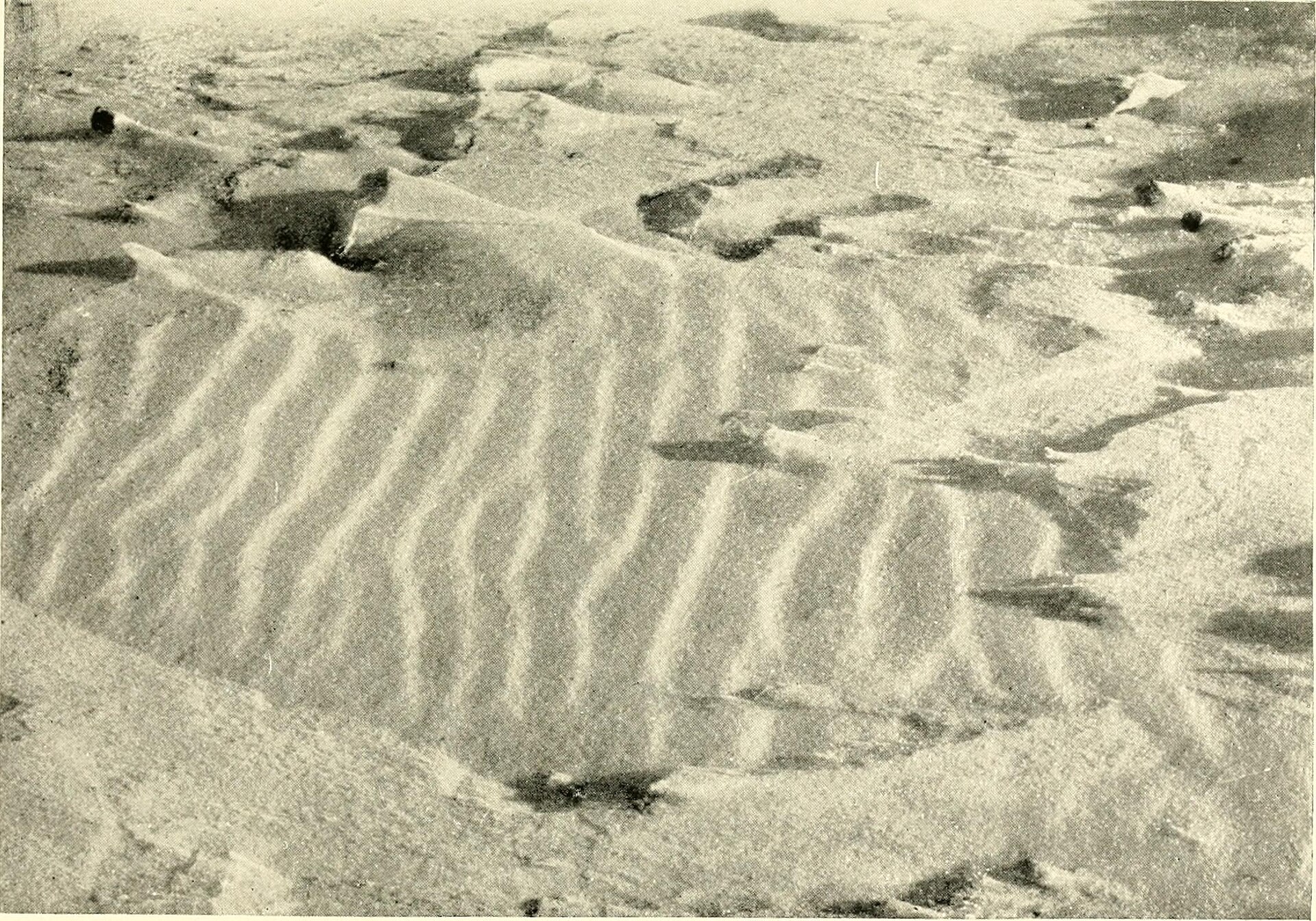 Waves of sand and snow and the eddies which make them (1914) (14594657438).jpg